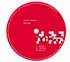 Roberto Capuano – Got You