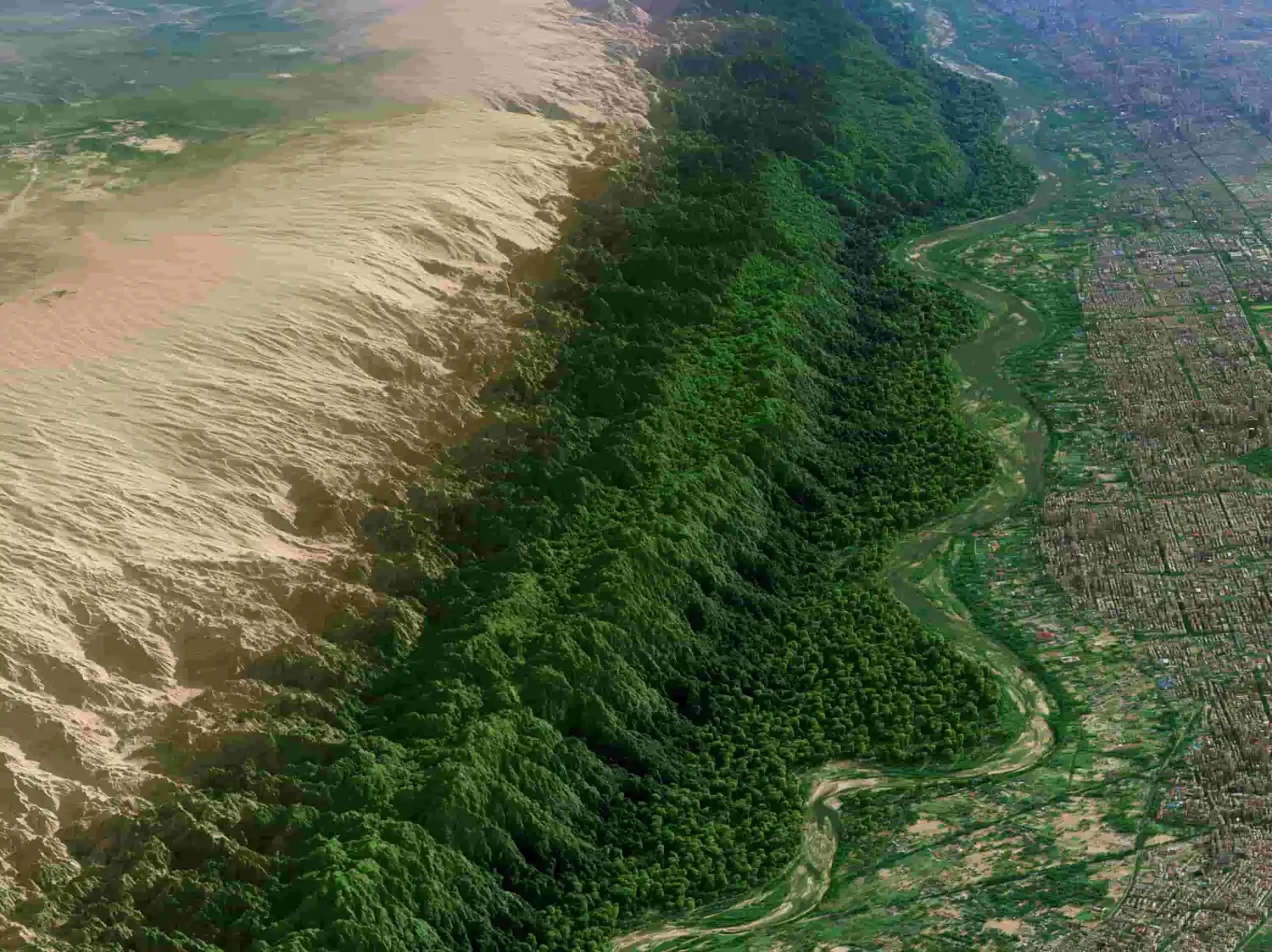 Featured Image