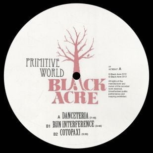 Primitive World – Danceteria