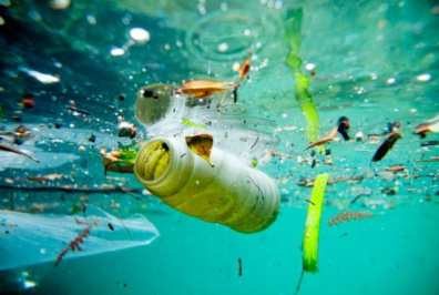 El deterioro de los océanos amenaza la alimentación global ¡Ciudades sintéticas!