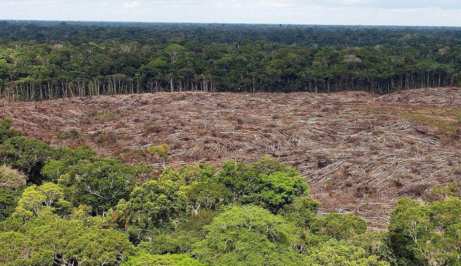 El Amazonas llegó al 17% de deforestación: Se aproxima el punto de “no retorno”