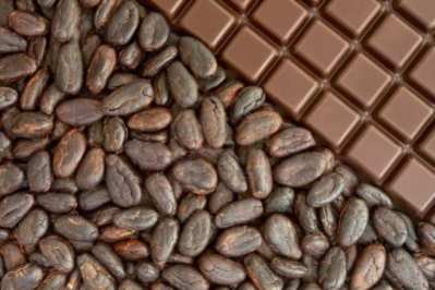 El Cacao puro como alternativa a las sustancias psicoactivas