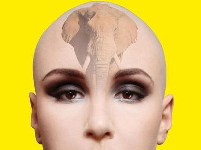 ¿Qué más necesitas para despertar?