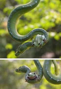 Rusia renueva su arsenal nuclear para 2020 y firma reactor comercial por 10 billones en Suráfrica