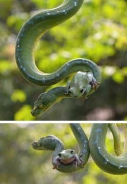 Rusia renueva su arsenal nuclear para 2020 y firma reactor comercial por 10 billones en Suráfrica