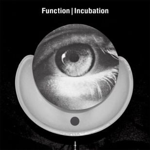 Function – Incubation