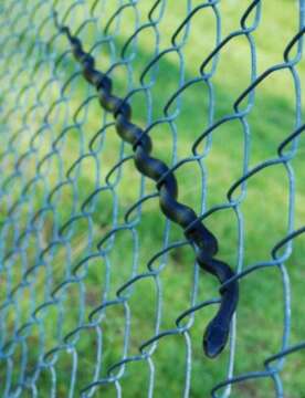 Fin de año terminandose de pintar muy bien