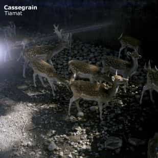 Cassegrain – Tiamat