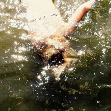 Disfruta al completo el fantástico: "Linear S Decoded", segundo largo de SHXCXCHCXSH