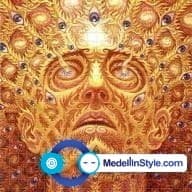 Psychedelic Experience FAQ – El ABC de la Experiencia Psicodélica