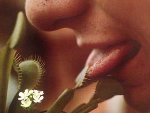 5 albumes de Ambient para hacer el amor – MedellinStyle Selections