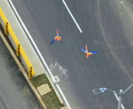 En Medellín la gente sabe más de drogas que de Música – Jaime Nicholls