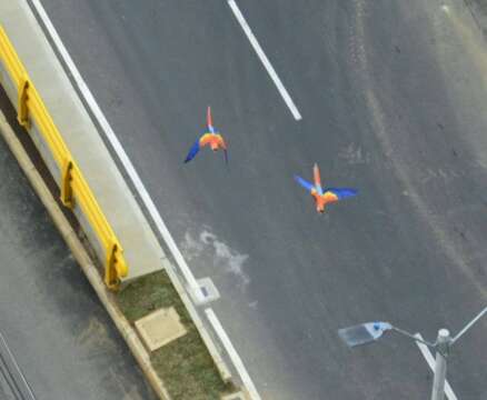 En Medellín la gente sabe más de drogas que de Música – Jaime Nicholls