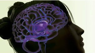 Buscan establecer si la susceptibilidad a la adicción es hereditaria