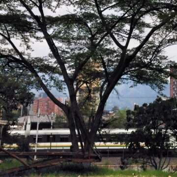 Industrialism en una Nueva Locación para la Escena de La Ciudad