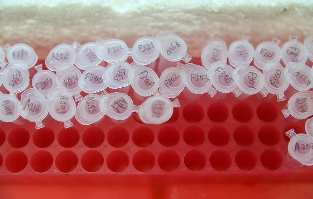 Vector: La Vacuna Rusa anuncia que comienza producción en masa en Noviembre