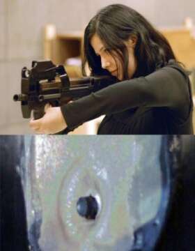 Científicos inventan a partir de la seda de araña, piel humana a prueba de balas. La medicina aprovechará el invento