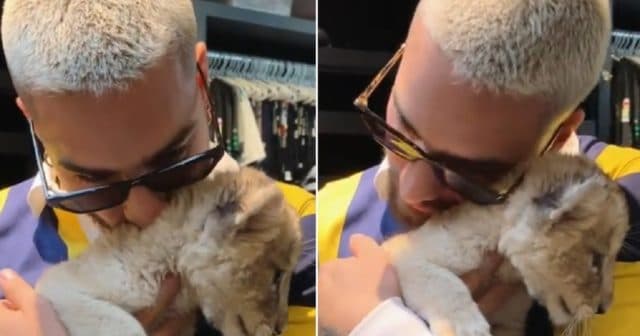 Las selfies con animales salvajes son una tonta moda y afecta la naturaleza