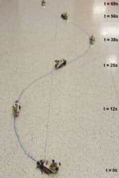 Ciencia: Ahora es posible ¨CABALGAR¨ Cucarachas.