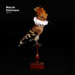 Marcel Dettmann prepara el Fabric 77