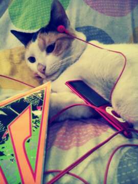 FREEDOM: BAILALO !!! Adquiere los últimos tickets en GANA & TUBOLETA ! ó a Domicilio 3004885656