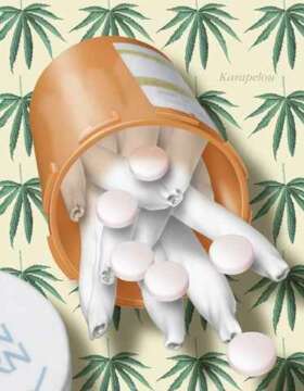 Ciencia Cannabinoide: Dolor