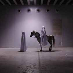 El Sonar 2010 tendra dos sedes!