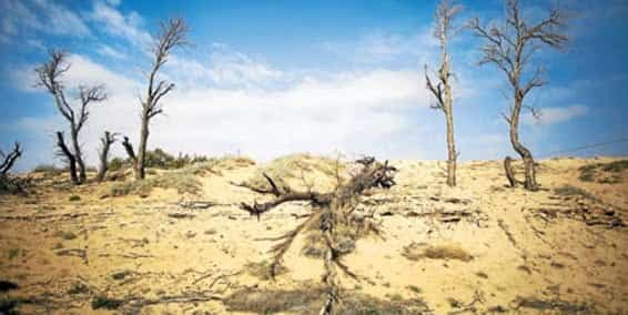 El cambio climático es 95% de origen humano