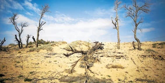 El cambio climático es 95% de origen humano