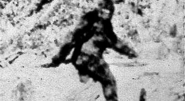 ¿Resuelven el misterio del Yeti?