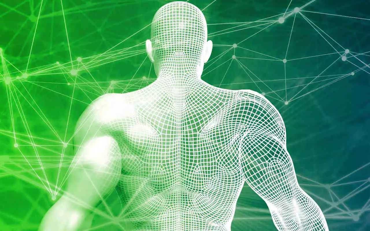 Techno y La Biomecánica Del Cuerpo Humano.