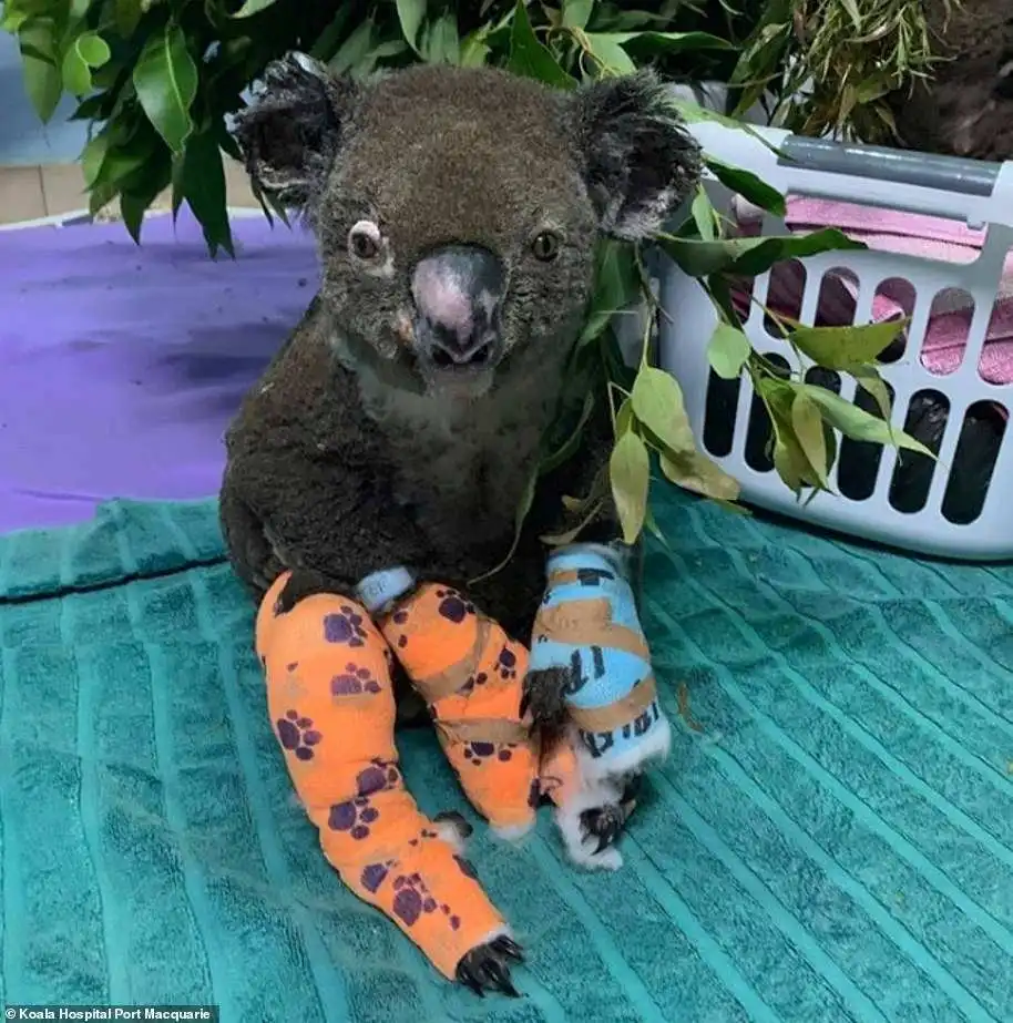 2050: La Tierra perderá hasta el 40% de las especies, nada será como antes si no tomamos medidas.