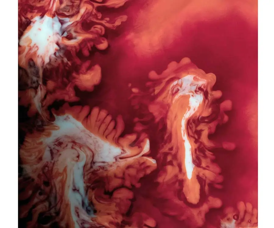 Default Series, Ocho Años Explorando los Límites del Sonido Colombiano y Global