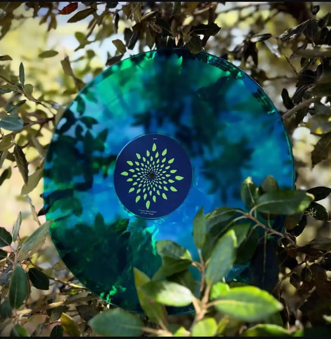 Virescence Records lanza Renacimiento Límites Edition 12” con Drucal y Traversable Message