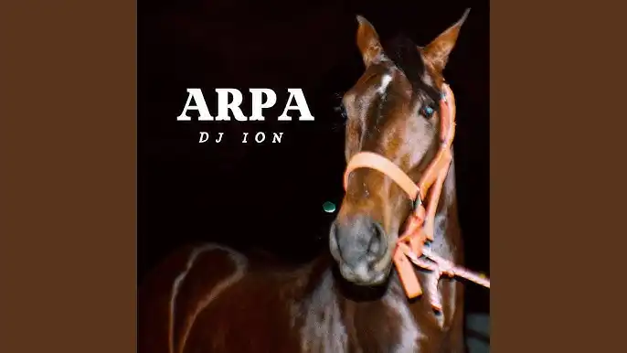 ¿Techno fusionado con música llanera?