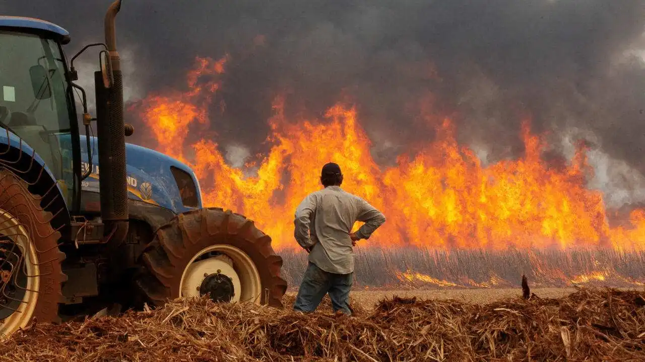Identifican “nuevas estaciones” creadas por la actividad humana.