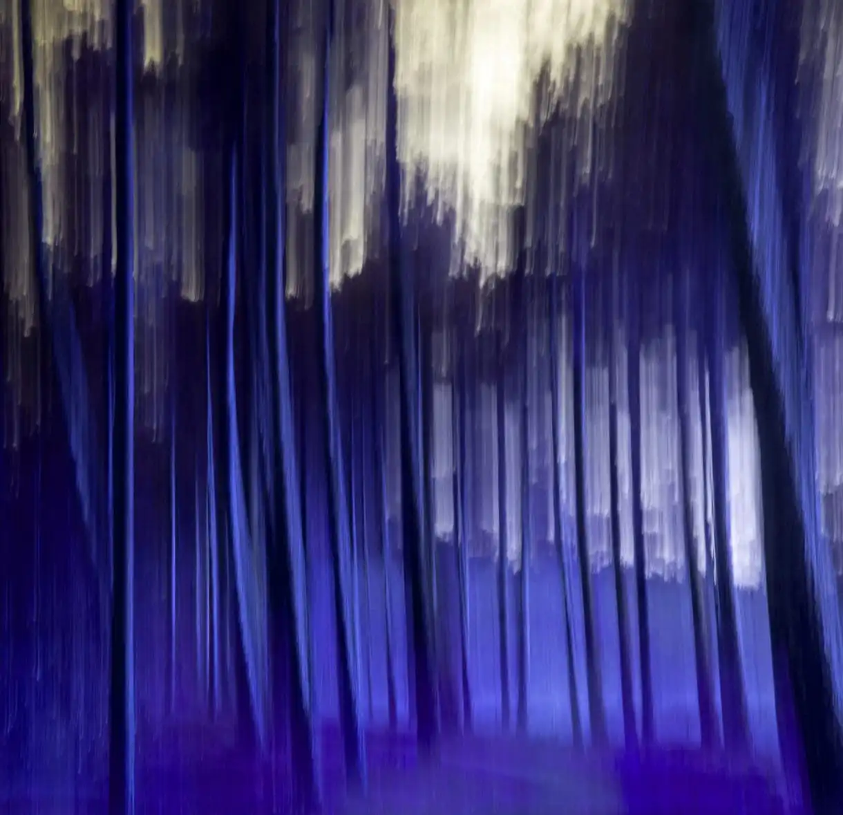 Pneuma Oniris: resonancias de un sueño compartido