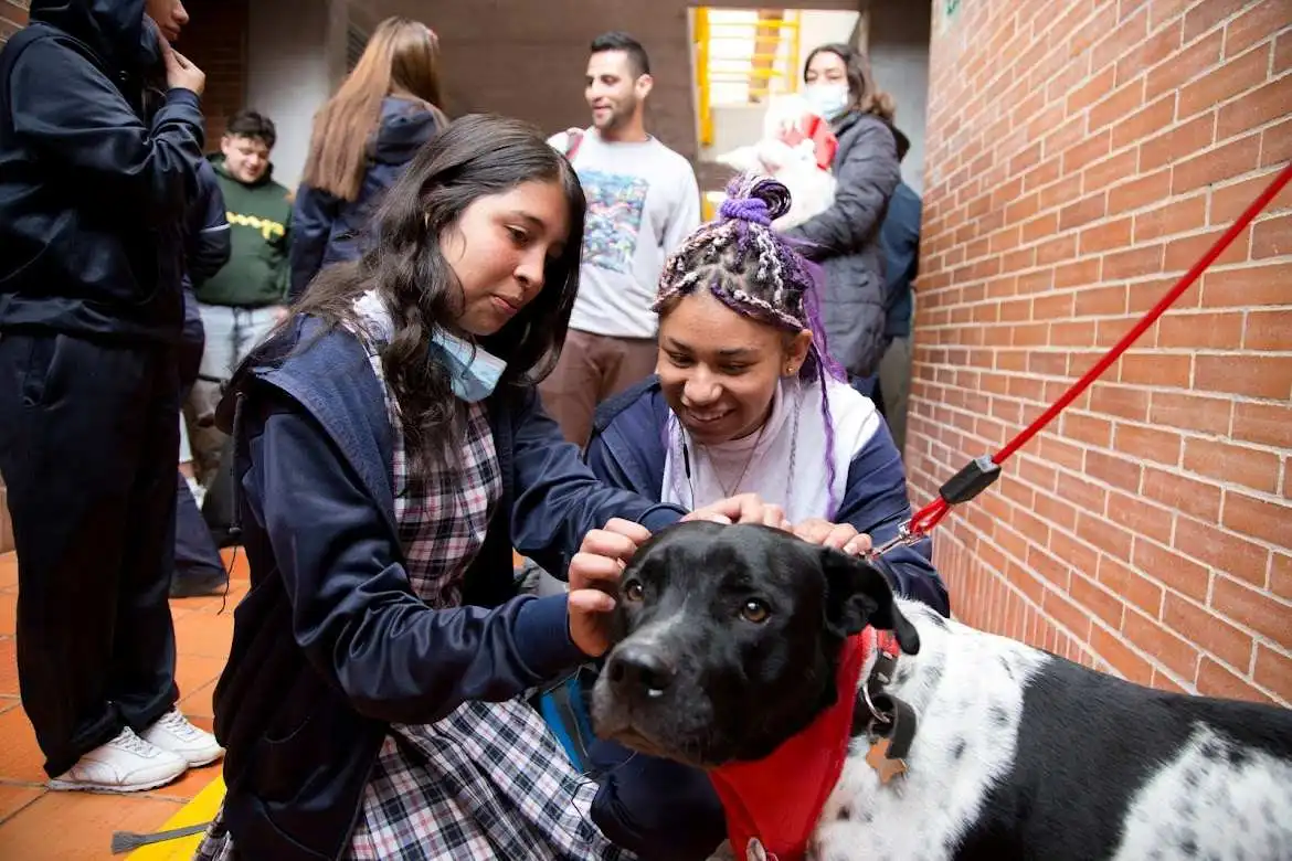 Colombia aprueba la Ley Empatía: colegios deberán enseñar protección animal.