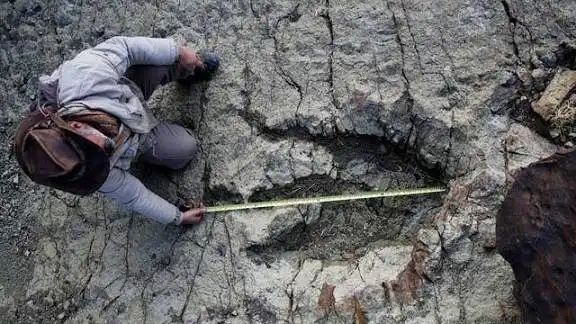 Impactante hallazgo en Bolivia: la colección más grande de huellas de dinosaurios.