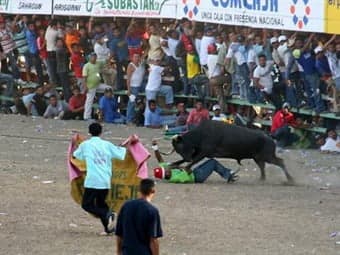 Fallo del Consejo de Estado es sobre corralejas, no sobre corridas de toros: magistrado