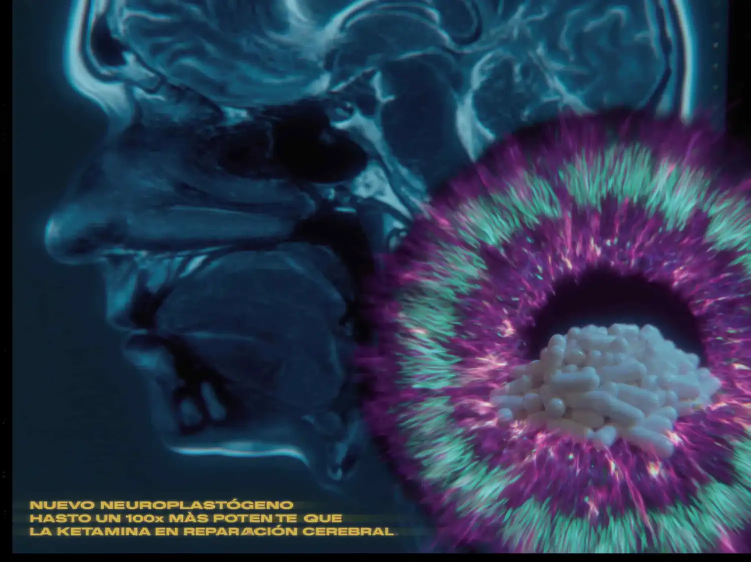 Arquitectura Cerebral: La Molécula que "Hackea" el LSD para Reconstruir Neuronas Muertas