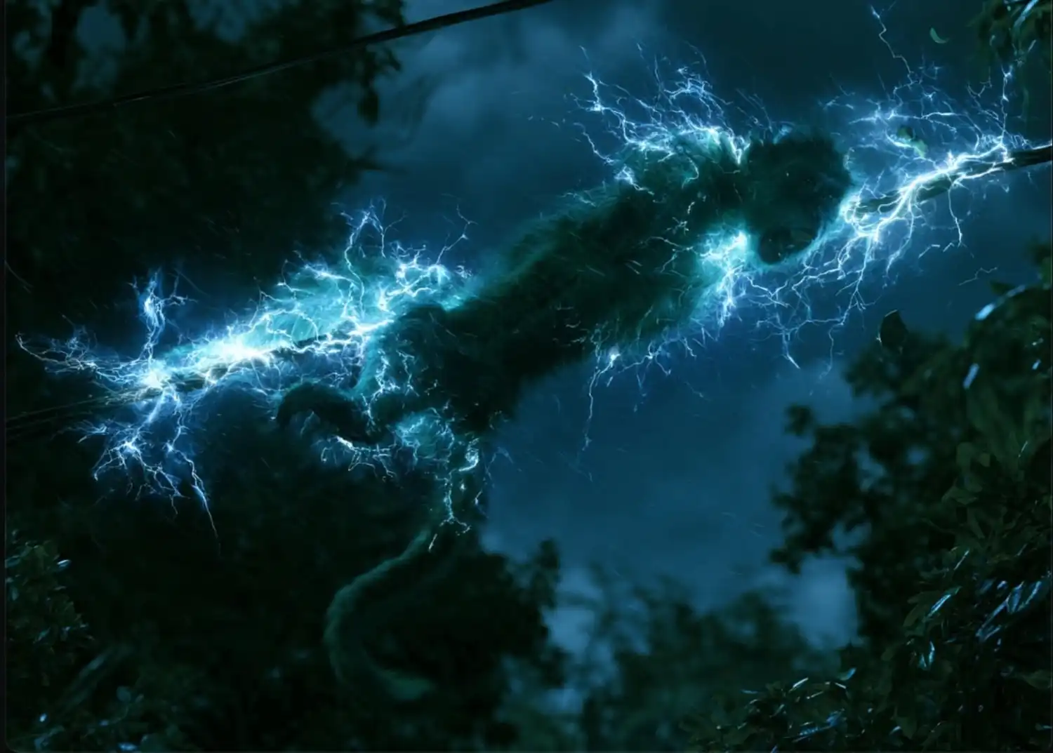 Electrocución de monos por tendido eléctrico