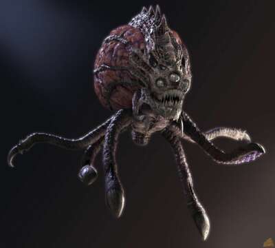 Los Pulpos son Extraterrestres