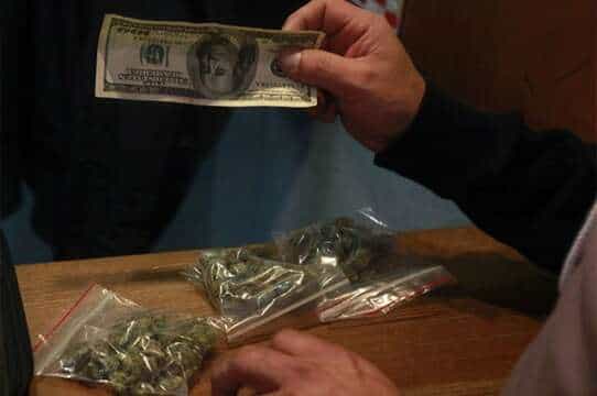 Uruguay venderá a un dólar el gramo de marihuana