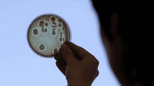 Rusia construye su propia Arca de Noé