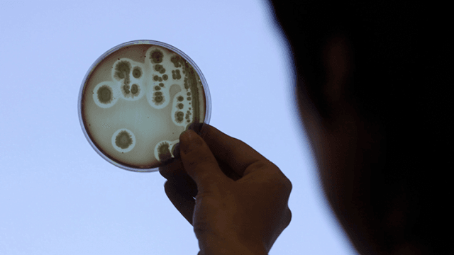 Rusia construye su propia Arca de Noé