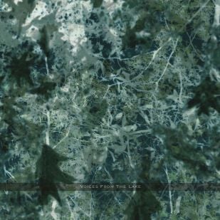 Voices from the Lake presenta Album exclusivo