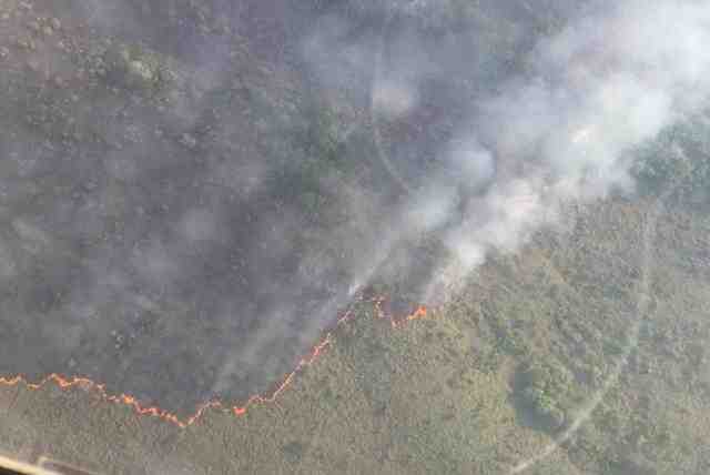 Las Guerrillas incendian Parque Natural La Macarena cerca a Caño Cristales