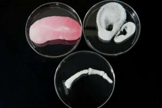 Crean materiales en impresoras 3D que se comportan como tejidos humanos