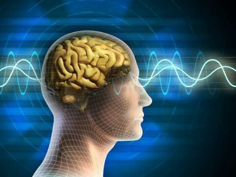 Nuestro cerebro olvida para ahorrar energía